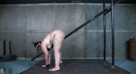 fat matures anal fucking porn galleries