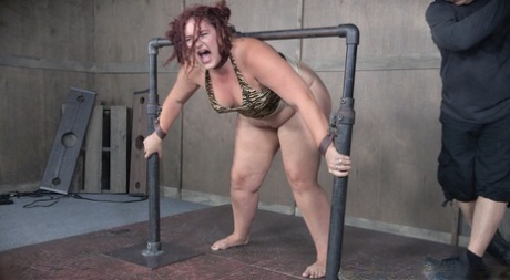 curvy milf tugging bbc in amateur pov erotic image