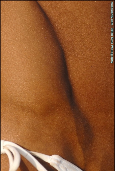 bbw car hood erotic image