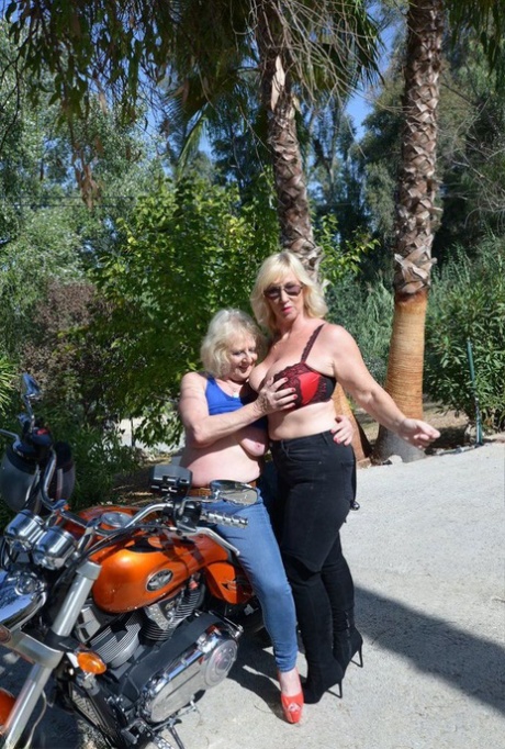 curvy futa free nude image