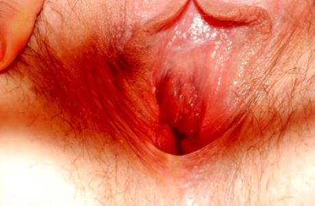 bbw star cherri lust best photo