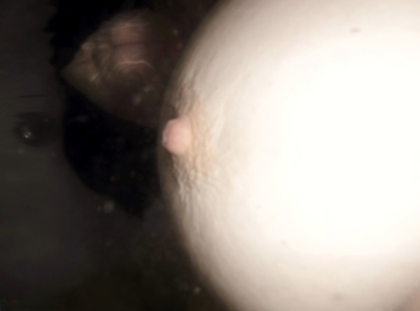 black bbw white guy porn free xxx pic