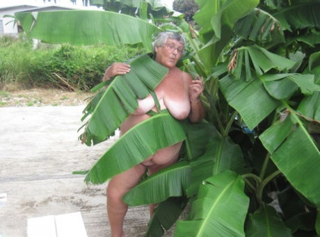 thick anal sex beautiful naked images