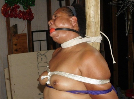 thick aunt xxx pictures