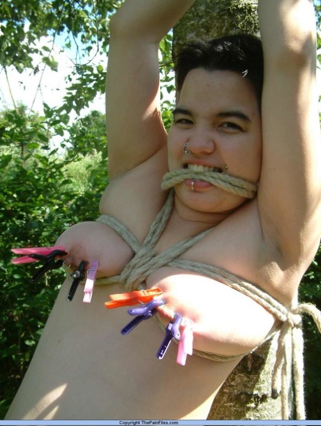 turboshare fat plumpers chubby bbw nice pic