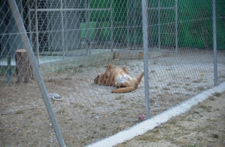 hot blonde plumper lures him into bed nude photos