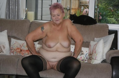 heavy curvy bouncy women pretty pictures