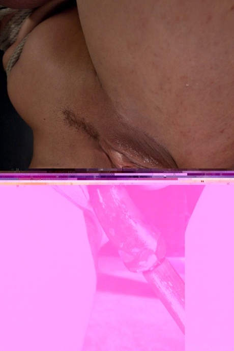 shane diesel bbw sex art xxx images
