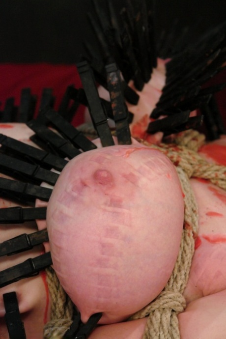 hot bbw woke up horny top archive
