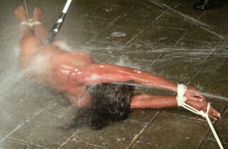bbw on all fours art porn images