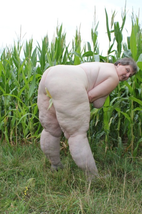curvy bandida erotic galleries