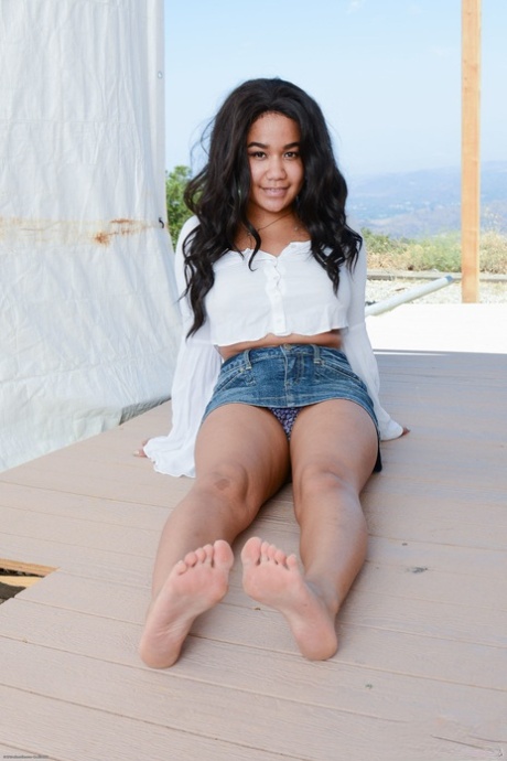 ebony bbw model nina star gets fucked hard photos hot naked photo