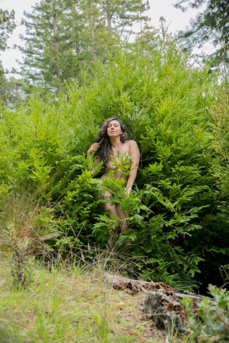 bbw deluca angela vedio porn images