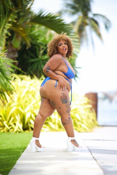 wild sexy chunky heel boots nude img
