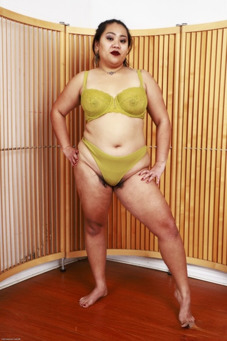 asian bbw pussy porno gallery