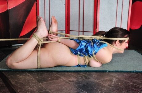 porn bbw torture art porn photo
